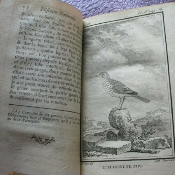 1779 Histoire naturelle BUFFON - 13  miedziorytów!
