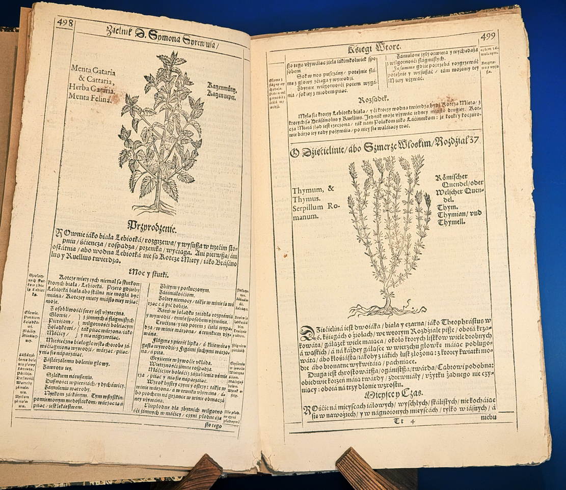1613 ZIELNIK Szymona Syreniusza (493-550)