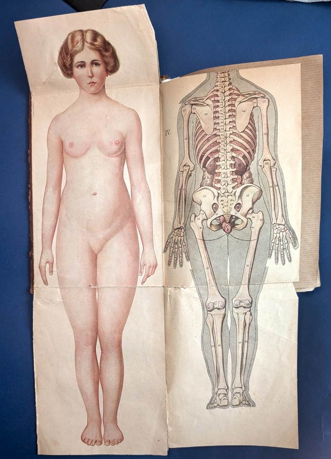 Nowe lecznictwo przyrodnicze. Anatomia ciała ludzkiego, leczenie neutralne, pielęgnowanie zdrowia